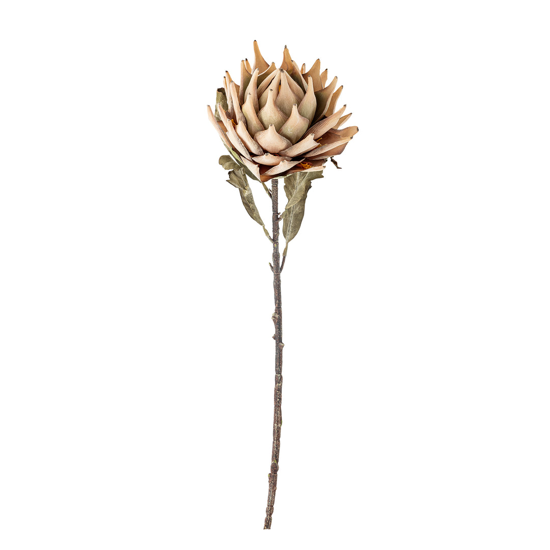 Protea Stilk, Natur, Kunstig Blomst