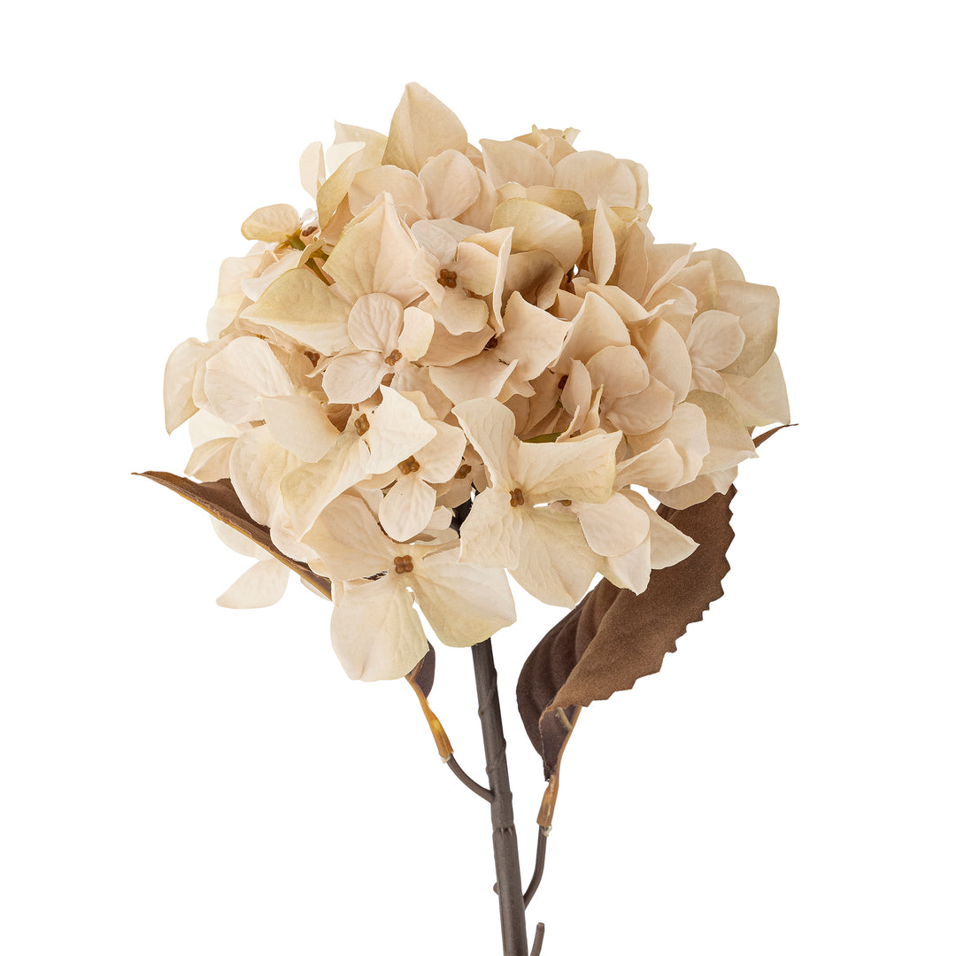 Hydrangea Stilk, Natur, Kunstig Blomst