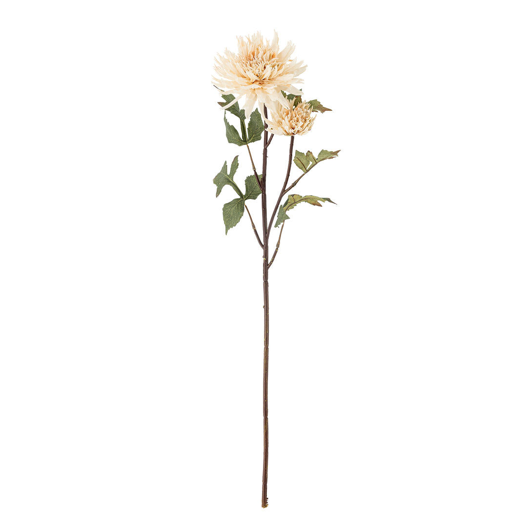 Chrysantemum Stilk, Natur, Kunstig Blomst