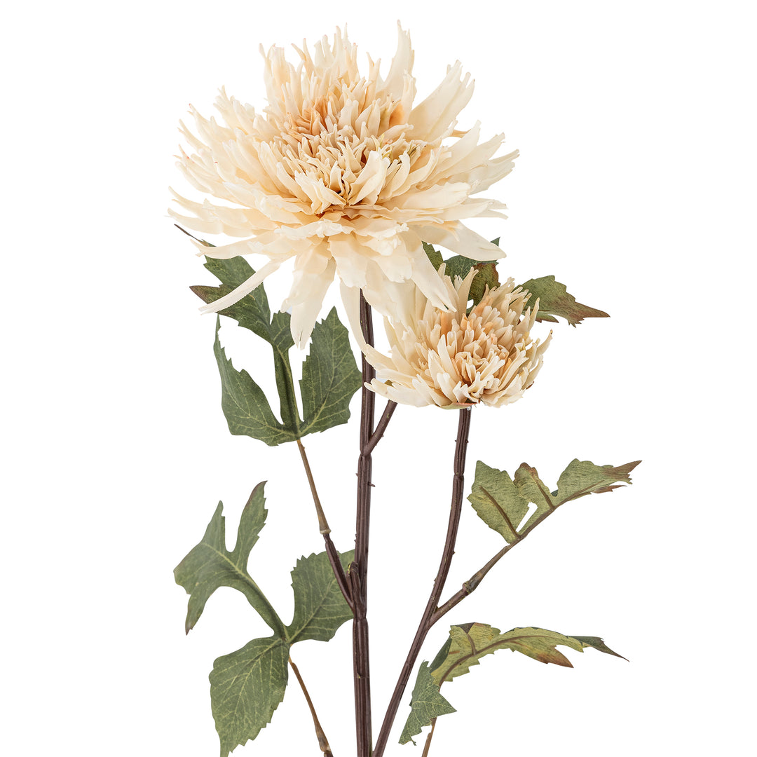Chrysantemum Stilk, Natur, Kunstig Blomst