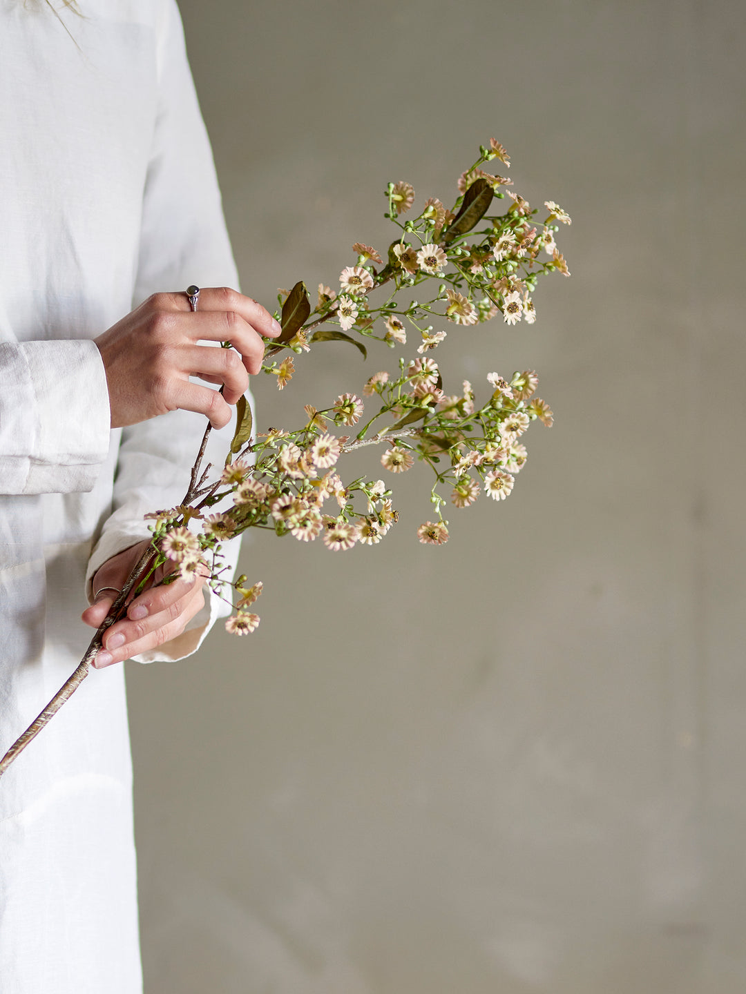 Waxflower Stilk, Hvid, Kunstig Blomst